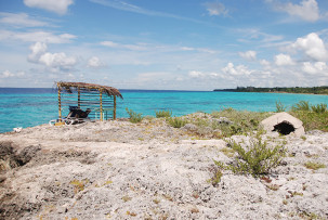 Punta Perdiz
