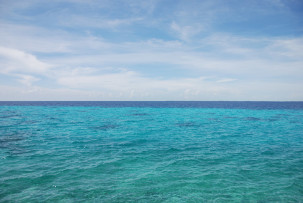 Punta Perdiz