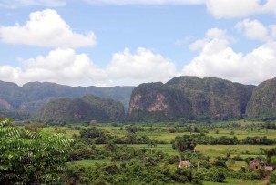 Kalksteinfelsen (Mogotes) im Vinales-Tal