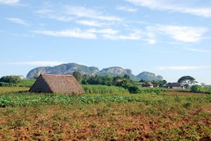 Valle des Vinales